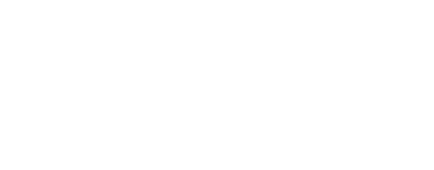 BM Flex